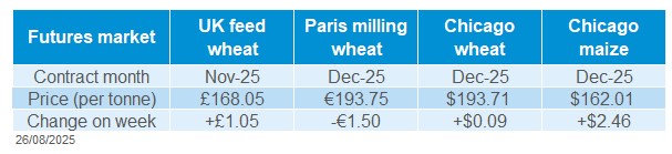 Grain futures 26 08 2025.jpg